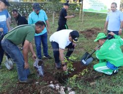 Pj. Walikota dan Jajaran Pemkot Kupang Tanam Pohon di Boulevard Jembatan Petuk