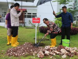 Pj. Gubernur Buka Baksos Operasi Katarak dan Penghijauan di Lingkungan RSUP dr. Ben Mboi
