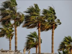 Waspada Potensi Cuaca Ekstrem di NTT Hingga 16 Maret