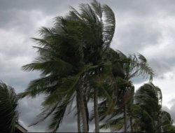 Waspada Cuaca Ekstrem di NTT 16 Maret, Flotim Potensi Hujan disertai Petir dan Angin Kencang