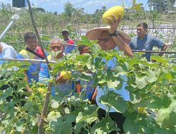 Hadiri Undangan Petani Melon, Melki Laka Lena Serap Keluhan dan Harapan Mereka