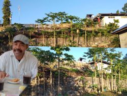 Pembangunan Talud Lewowerang berhenti karena Kadus III Desa Kenotan Mengundurkan Diri