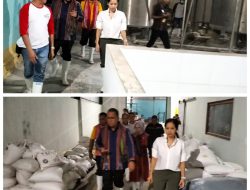 Rumput Laut NTT Kualitas Export, Gubenur Melki Laka Lena Tinjau Pabrik RKN di Tablolong