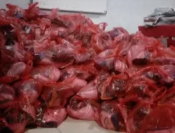 Dukung Jambore Sekami – Remis Lembata, Bank NTT Salurkan 600 Paket Sembako