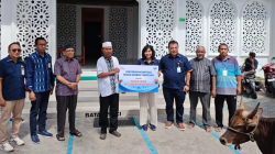 Idul Adha 1447 H, Bank NTT Serahkan Hewan Kurban untuk Umat Muslim, 4 Masjid di Kota Kupang