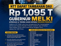 NTT Dapat Tambahan DAU Rp 1,095 Triliun, Gubernur Melki : Presiden Memberikan Perhatian Terhadap Kondisi Fiskal Daerah