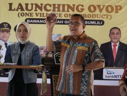 Dari 100 Ton Bawang Merah, Gubernur Melki Dorong Sumlili Naik Kelas Lewat Hilirisasi
