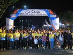521 Pelari Ramaikan Waikabubak Night Run 2026, Bank NTT Dorong Sport Tourism Sumba