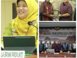 Wagub Johni dan Komisi IX DPR RI Perkuat Perlindungan PMI NTT